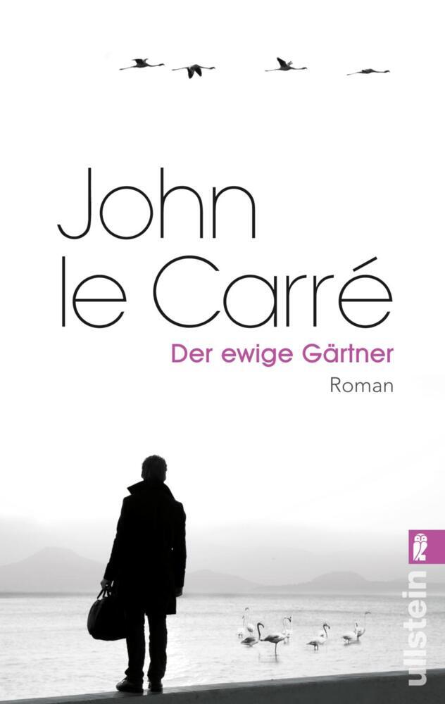 Der ewige Gärtner main product photo