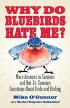 Why Do Bluebirds Hate Me?