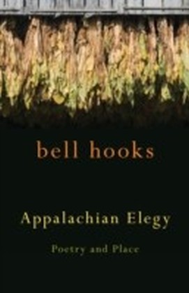 Appalachian Elegy main product photo