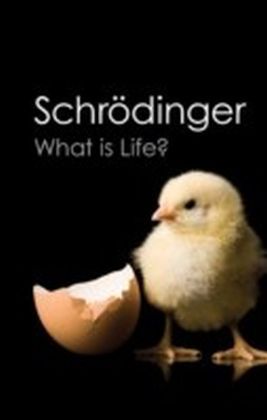 What is Life? main product photo