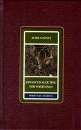 Advanced Scouting for Whitetails