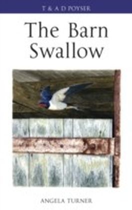 Barn Swallow main product photo