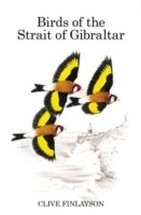 Birds of the Strait of Gibraltar main product photo