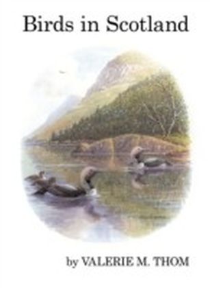 Birds in Scotland