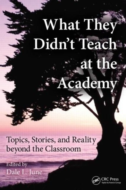 What They Didn't Teach at the Academy main product photo