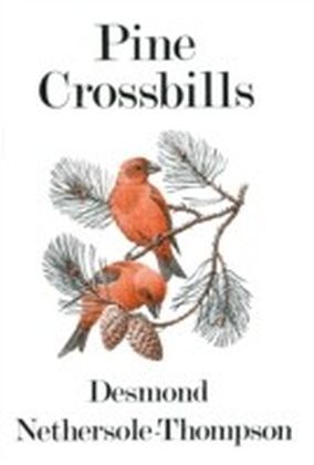 Pine Crossbills main product photo