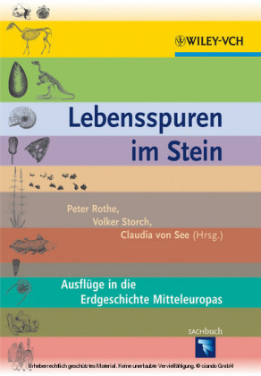 Lebensspuren im Gestein