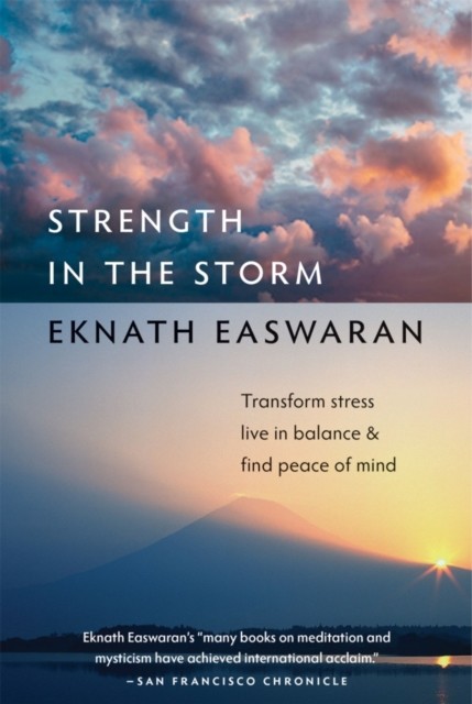 Strength in the Storm main product photo