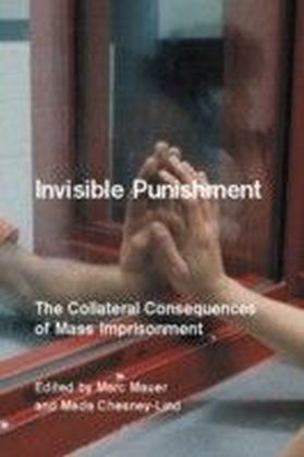 Invisible Punishment main product photo