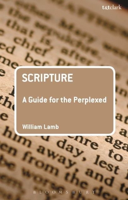 Scripture: A Guide for the Perplexed main product photo