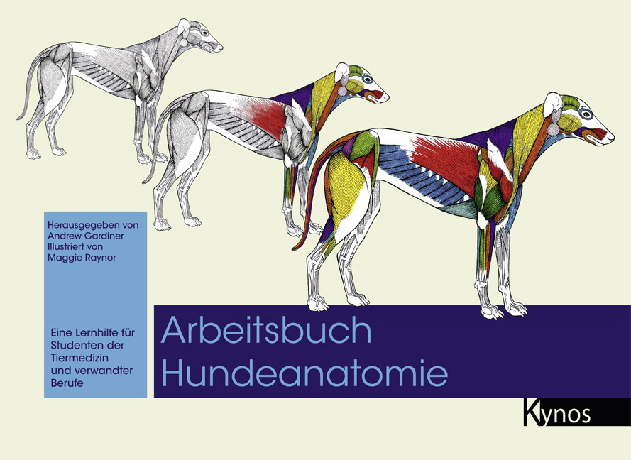 Arbeitsbuch Hundeanatomie main product photo