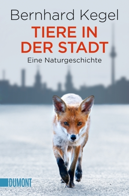 Tiere in der Stadt main product photo