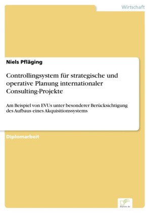Controllingsystem für strategische und operative Planung internationaler Consulting-Projekte