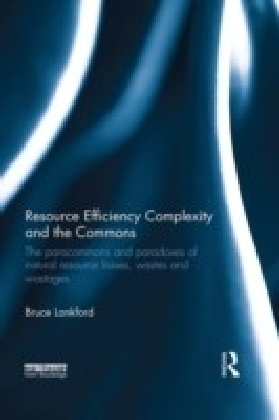 Resource Efficiency Complexity and the Commons main product photo