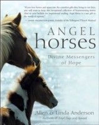 Angel Horses main product photo
