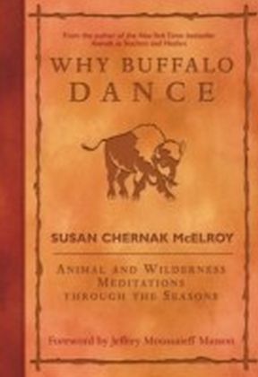 Why Buffalo Dance