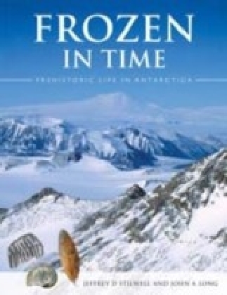 Frozen in Time