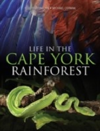 Life in the Cape York Rainforest