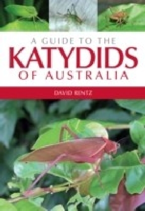 Guide to the Katydids of Australia