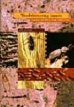 Wood Destroying Insects