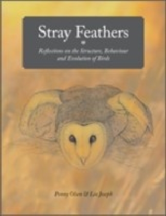 Stray Feathers main product photo