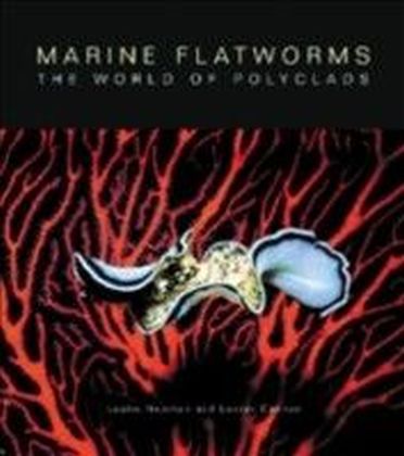 Marine Flatworms main product photo