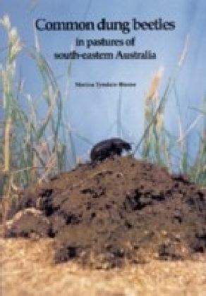 Common Dung Beetles in Pastures of South-eastern Australia