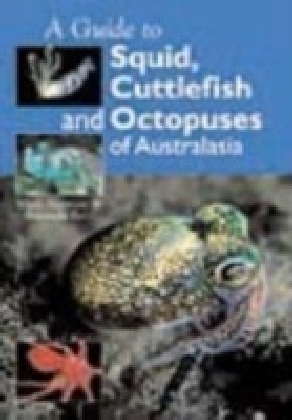 Guide to Squid, Cuttlefish and Octopuses of Australasia main product photo