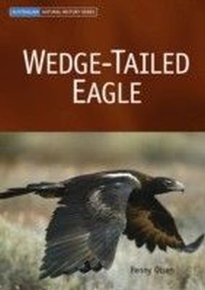 Wedge-tailed Eagle