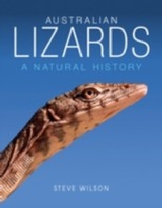Australian Lizards main product photo
