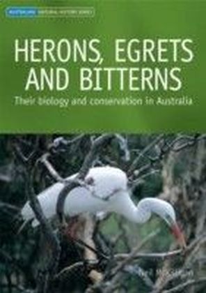 Herons, Egrets and Bitterns