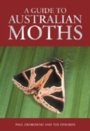 Guide to Australian Moths main product photo