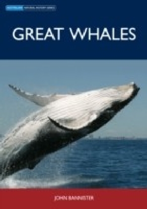 Great Whales main product photo