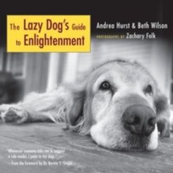 Lazy Dog's Guide to Enlightenment