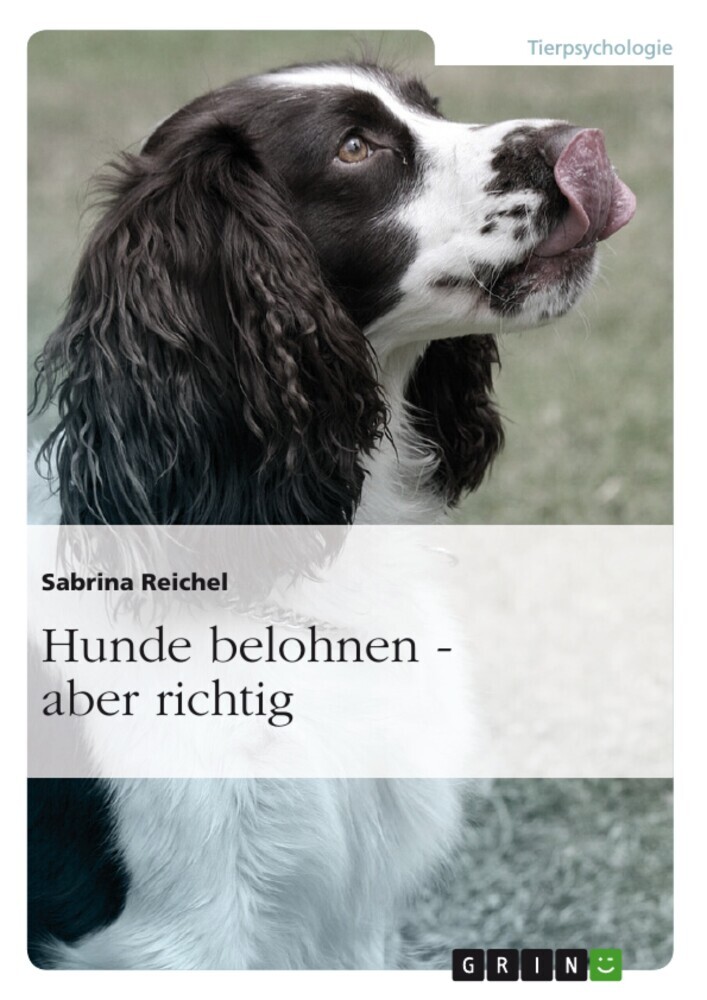 Hunde belohnen - aber richtig main product photo