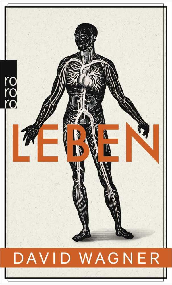 Leben main product photo