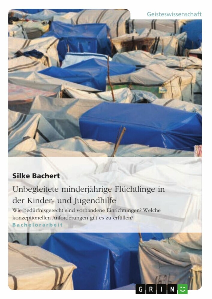 Unbegleitete minderjährige Flüchtlinge in der Kinder- und Jugendhilfe main product photo