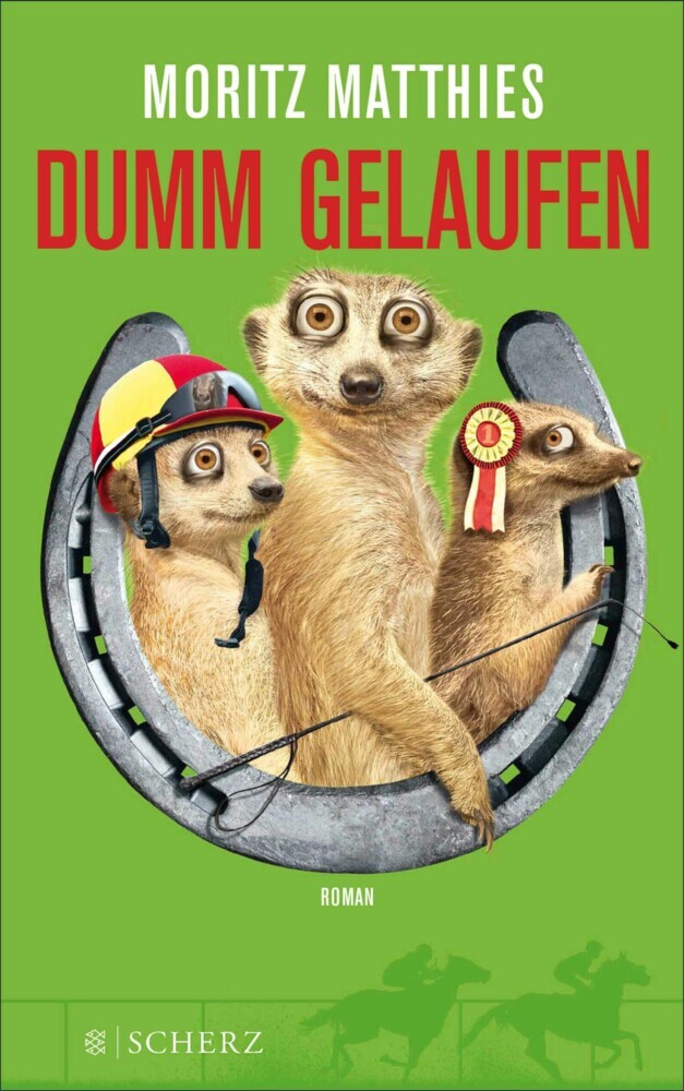 Dumm gelaufen main product photo