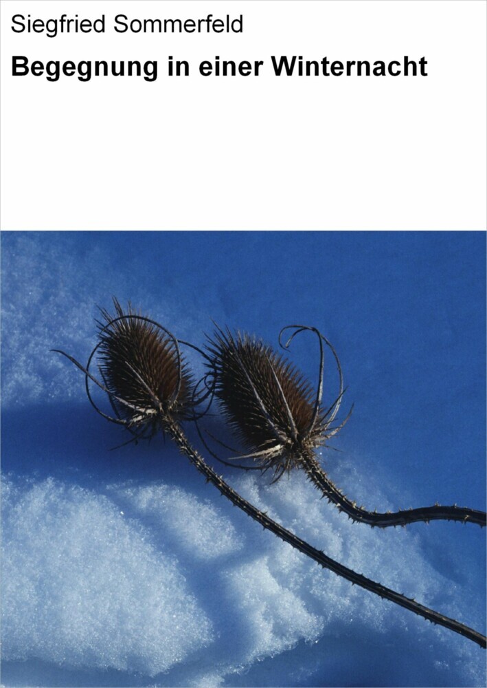 Begegnung in einer Winternacht main product photo