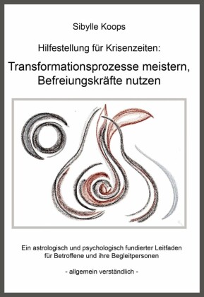 Hilfestellung für Krisenzeiten: Transformationsprozesse meistern, Befreiungskräfte nutzen