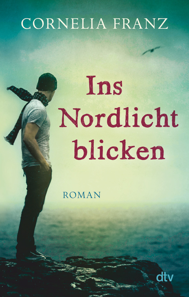 Ins Nordlicht blicken main product photo