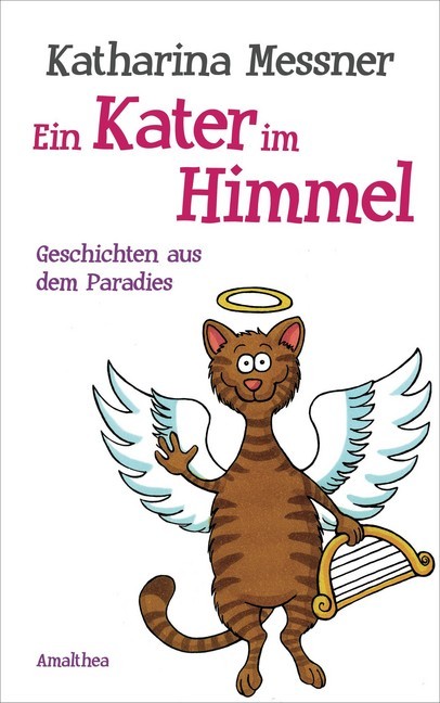 Ein Kater im Himmel main product photo