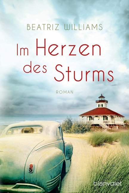 Im Herzen des Sturms main product photo