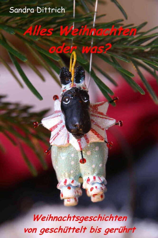 Alles Weihnachten oder was? main product photo