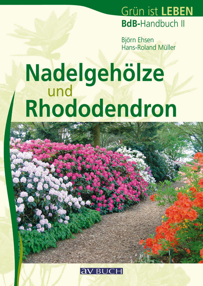 Nadelgehölze und Rhododendron main product photo