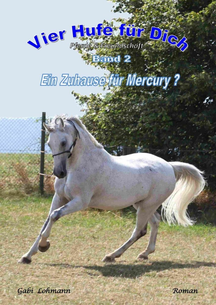 Vier Hufe für Dich - Ein Zuhause für Mercury (Pferd & Freundschaft) main product photo