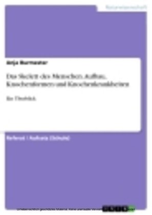 Das Skelett des Menschen. Aufbau, Knochenformen und Knochenkrankheiten