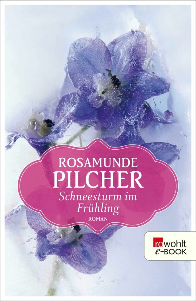 Schneesturm im Frühling main product photo