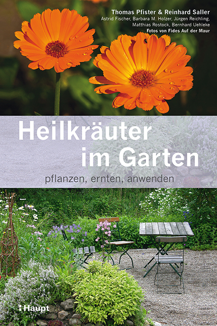 Heilkräuter im Garten main product photo