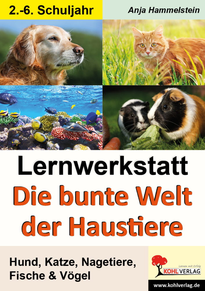 Lernwerkstatt Die bunte Welt der Haustiere main product photo
